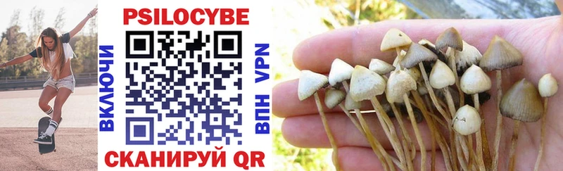 Галлюциногенные грибы MAGIC MUSHROOMS  Ковылкино 